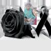 lizeth_rea10