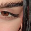 the_lanoo