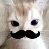 pappeppopp