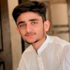 niazi_029