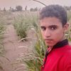 user8288107999476