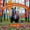 NNNH Rescue Rehab & Sanctuary