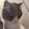 meoww0659