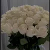 melekkzaza