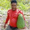 frango da agricultura