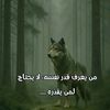 yousef.mahdy5