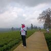 susanti25777