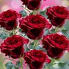 user5887186653030