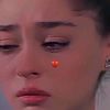 narditoo8