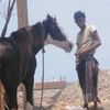 user00967739651060