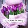 amal.mhmad2