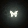 st4rr_vinaa