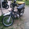 andi61483