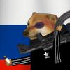 dog736001