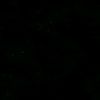 xincity_18