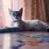 ludmila_official41