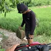 at.nguyen569