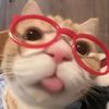 mzznajibb_