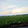 oi.zoi.oi19