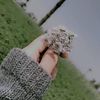 malak.mohamed6119