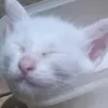 jp.potpot