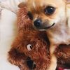 sophiea234