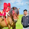 nabil.ghennam7