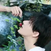 tn.phu.nhn67