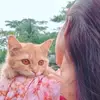 mimakyqjkkn