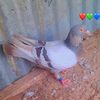serigne_diouf