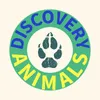 discoveryanimalsthebest