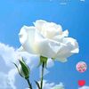 ma.khaing828