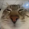 mark_bro01