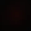 alexberry13_