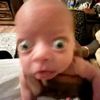 ndaarorrww