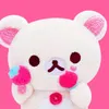 _pipi0703ws