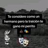 el.patrn.del.mal38