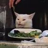 notanidea0