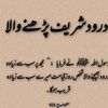 muhammad.hasseb01
