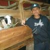 cepepuls0