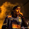 doplhin22