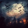 vivignv7