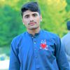 sher.zadah556