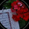 ahed39563