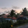alicecarddos