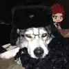 funkycorruption