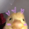 skhsjsjshsjak