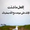 qvahas