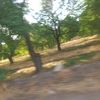hananehanane2659