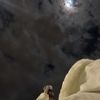 saleh.altaslie3